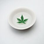 Выращивание марихуаны с помощью гидропоники img-1367.jpg