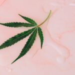 Автоцветущие Феминизированные Семена Конопли: Преимущества и Характеристики img-1728.jpg