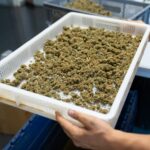 Как купить морфин в аптеке подробное руководство img-2503.jpg