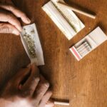 Ввоз семян конопли в Россию: основные аспекты и регулирование img-451.jpg